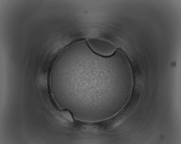 X0000093460681200710191124