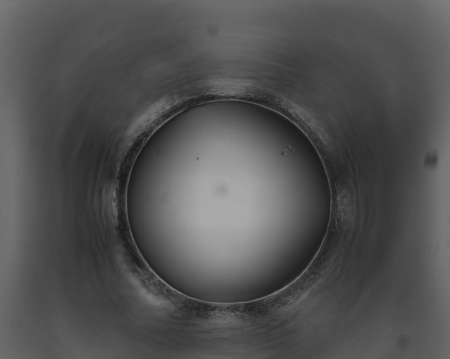 X0000093460682200710191124