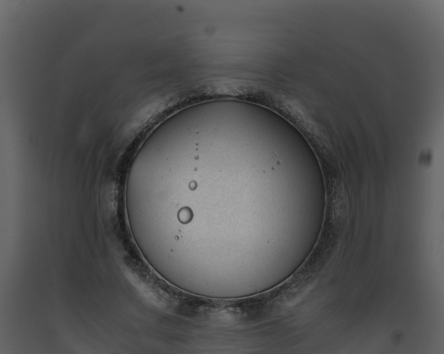 X0000093460683200710191124