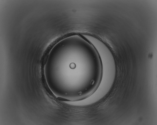 X0000093460684200710191124