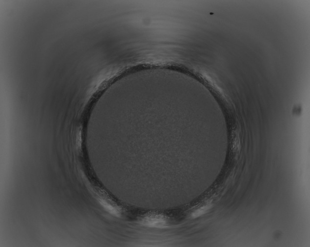 X0000093460685200710191124