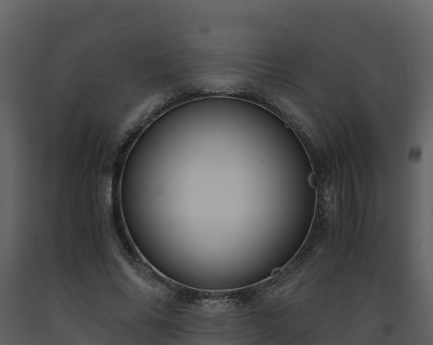 X0000093460686200710191124