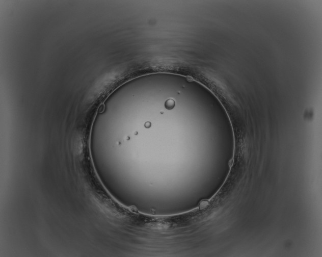 X0000093460687200710191124