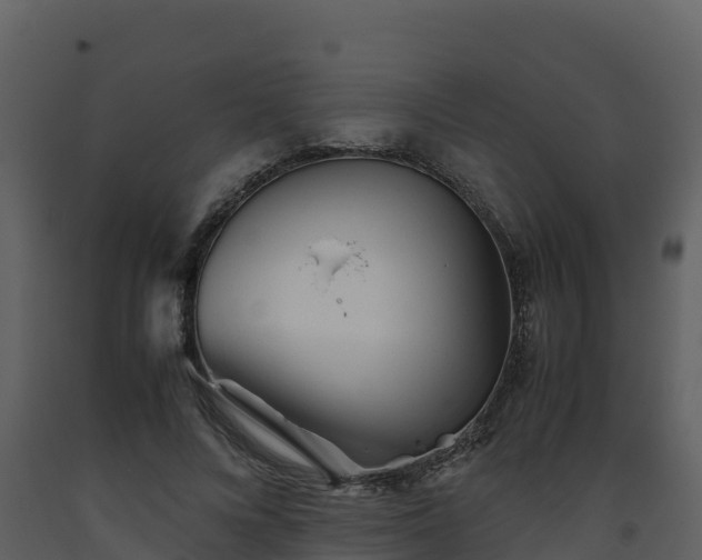 X0000093460688200710191124