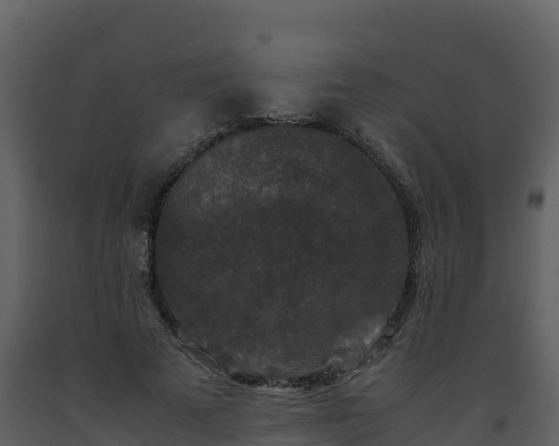 X0000093460689200710191124