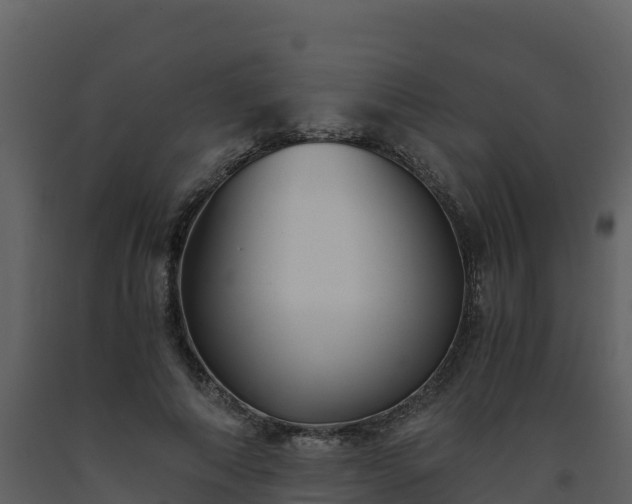 X0000093460690200710191124