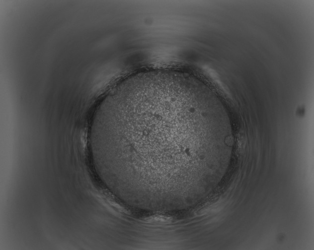 X0000093460691200710191124