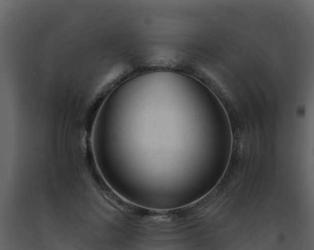 X0000093460692200710191124