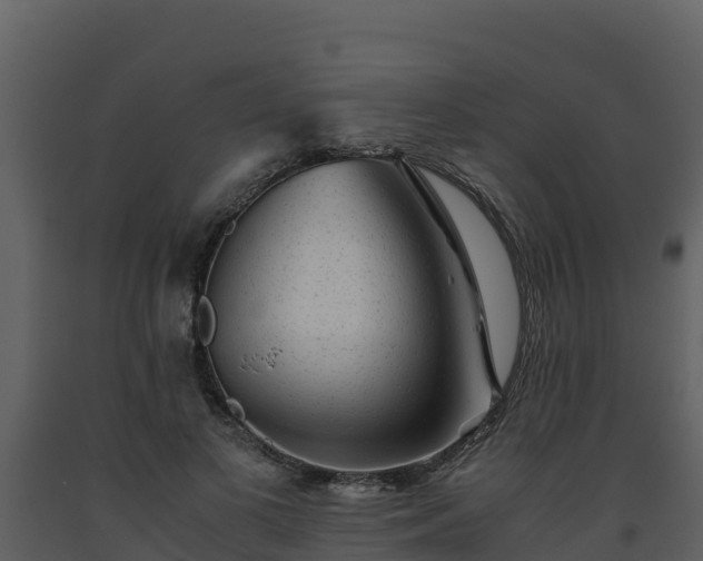 X0000093460693200710191124