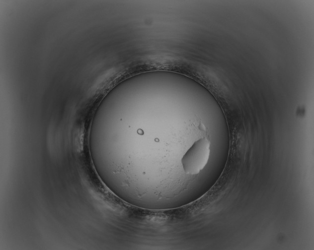 X0000093460694200710191124