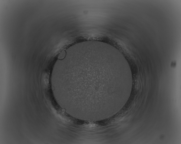 X0000093460695200710191124