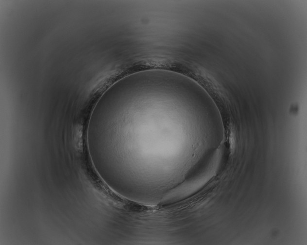 X0000093460696200710191124