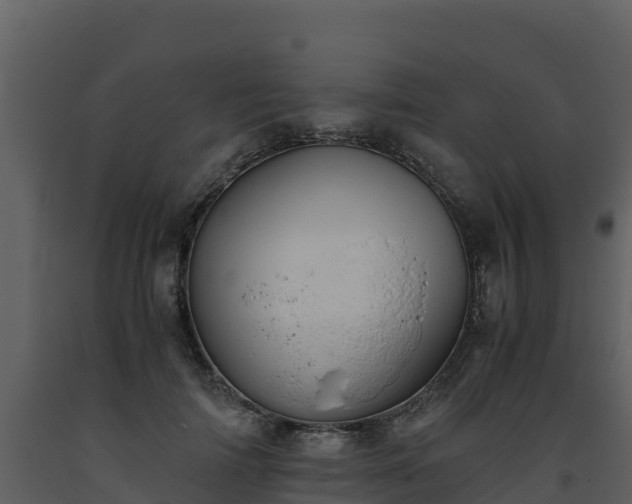 X0000093460698200710191124