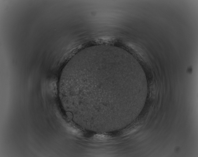 X0000093460699200710191124