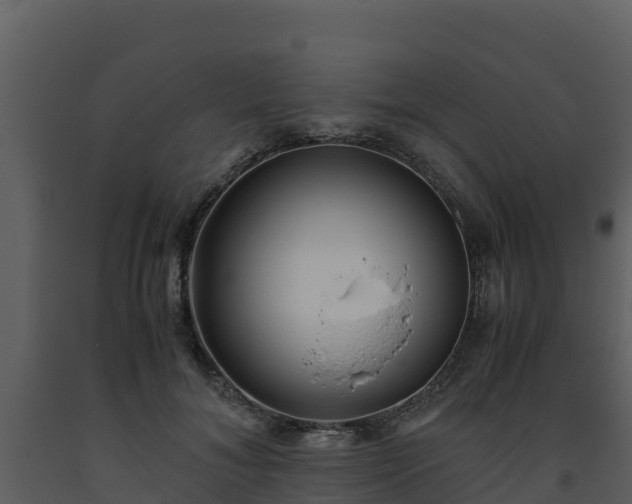 X0000093460700200710191124