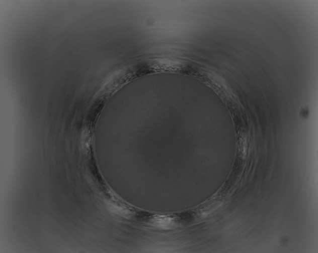 X0000093460701200710191124