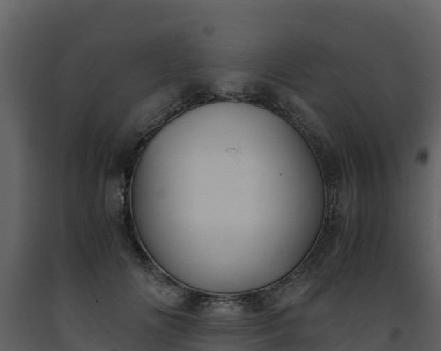 X0000093460702200710191124