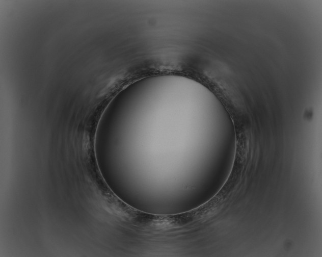 X0000093460704200710191124