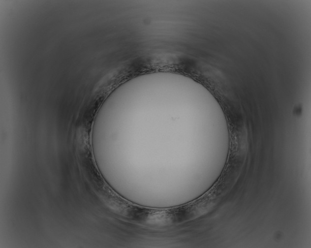 X0000093460705200710191124