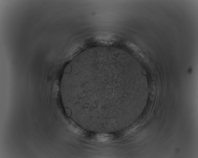 X0000093460707200710191124