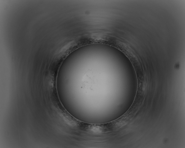 X0000093460710200710191124