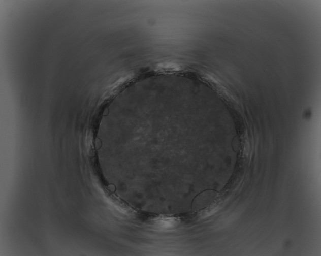 X0000093460711200710191124