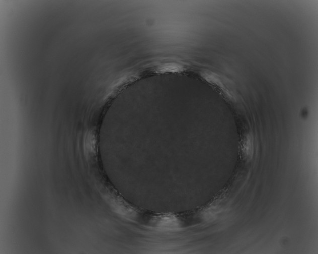 X0000093460715200710191124