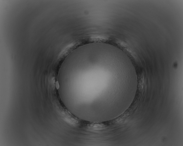 X0000093460716200710191124