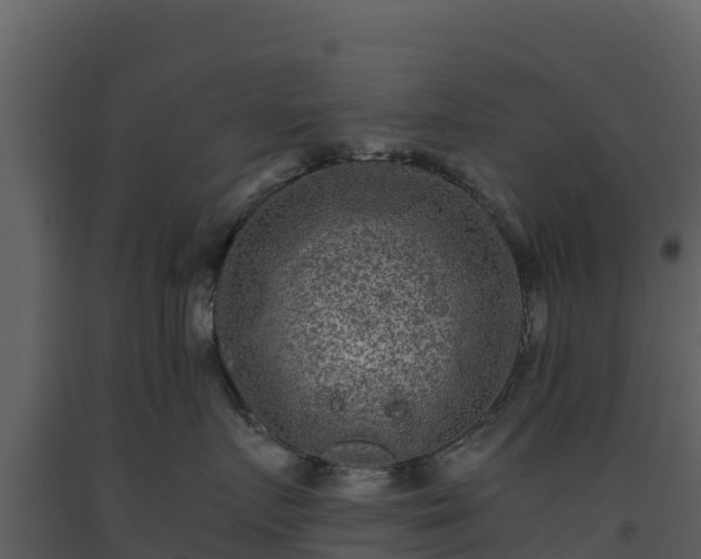 X0000093460719200710191124