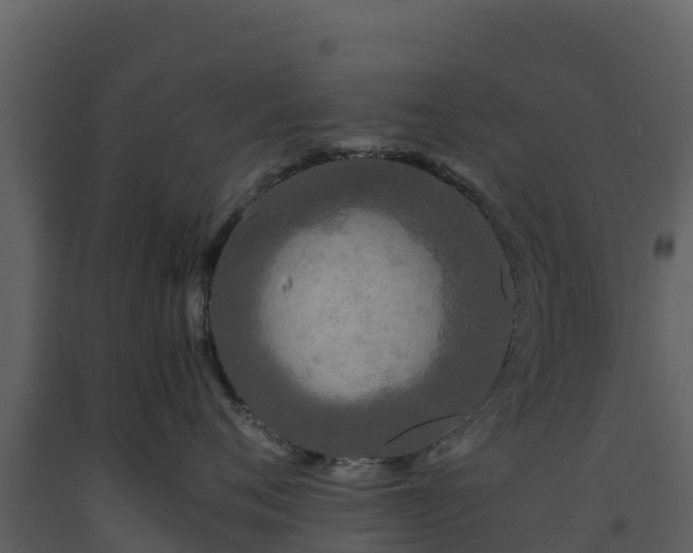 X0000093460720200710191124