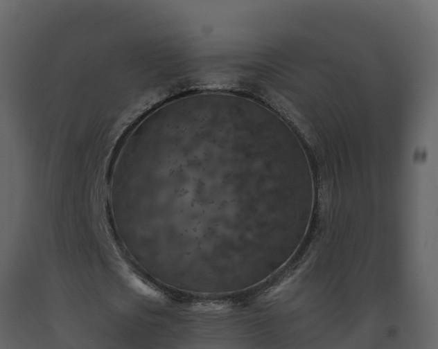 X0000093460721200710191123