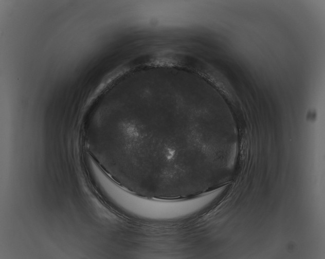 X0000093460722200710191123