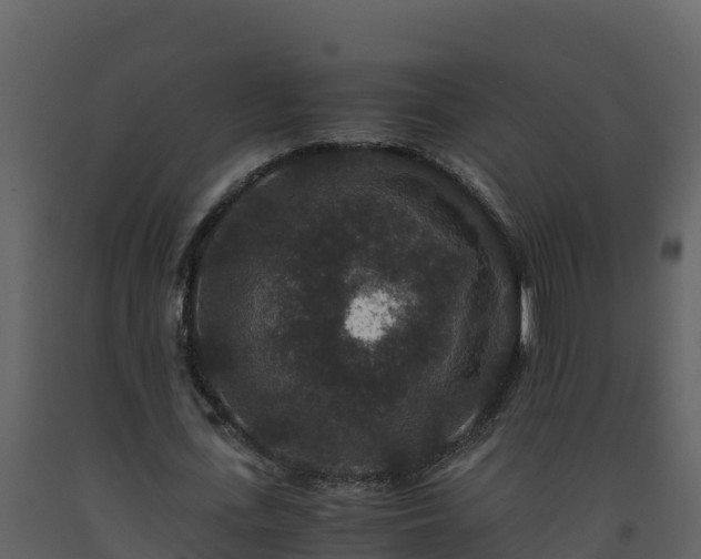 X0000093460723200710191123