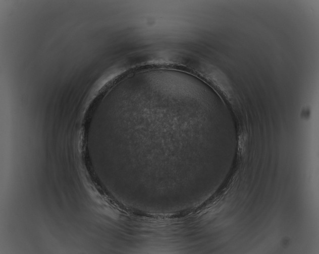 X0000093460724200710191123