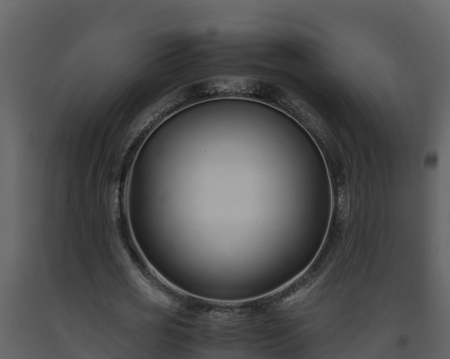 X0000093460725200710191123