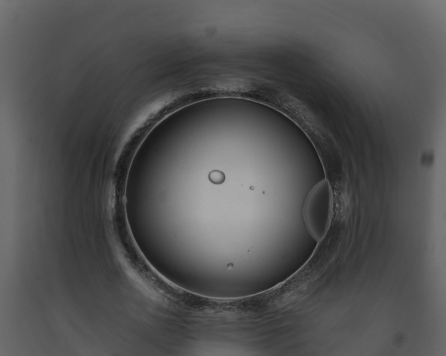 X0000093460726200710191123