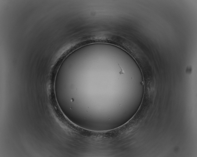 X0000093460728200710191123