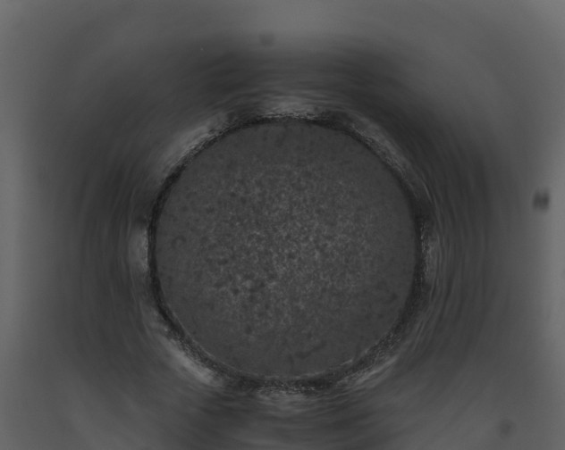 X0000093460729200710191123