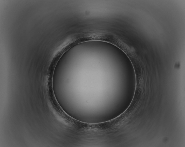 X0000093460730200710191123