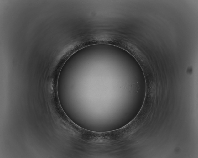 X0000093460731200710191123