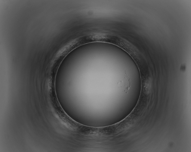 X0000093460732200710191123