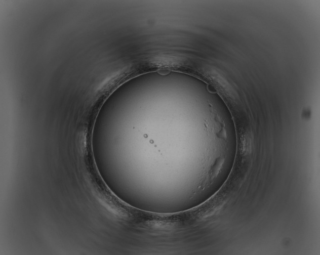 X0000093460733200710191123