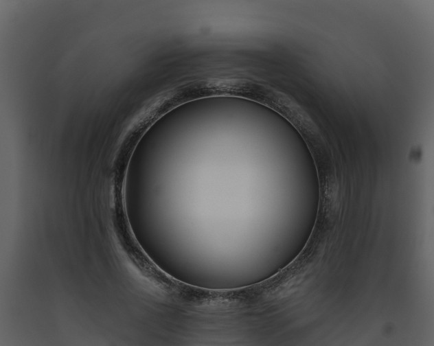 X0000093460734200710191123