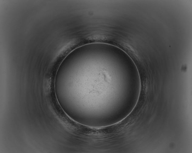 X0000093460735200710191123