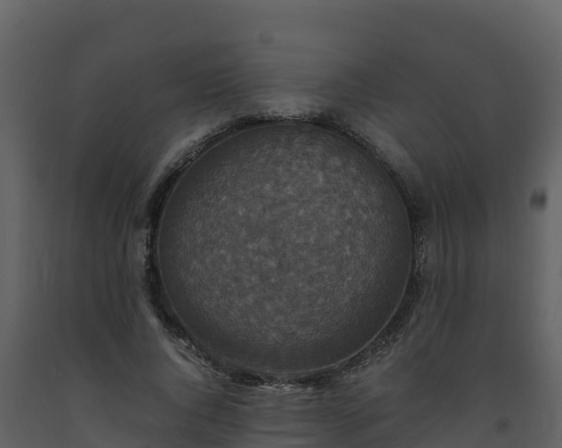 X0000093460736200710191123