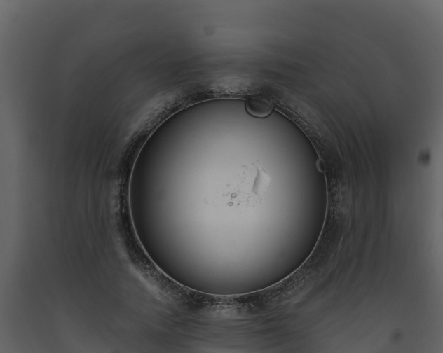 X0000093460738200710191123