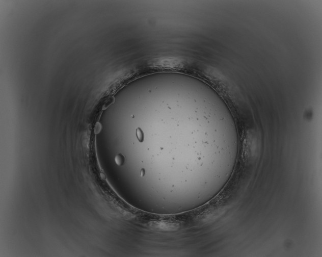 X0000093460739200710191123