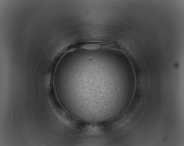 X0000093460742200710191123