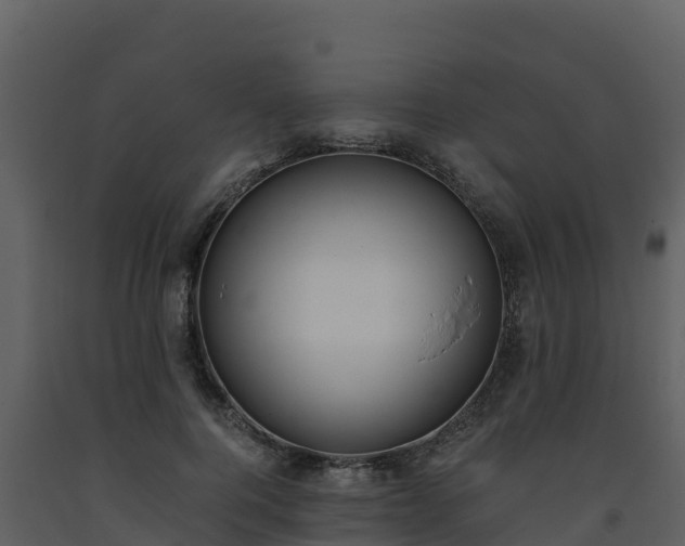 X0000093460744200710191123