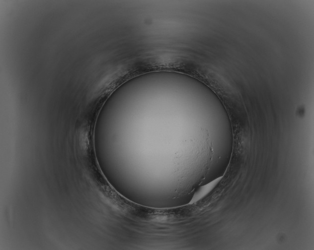 X0000093460746200710191123